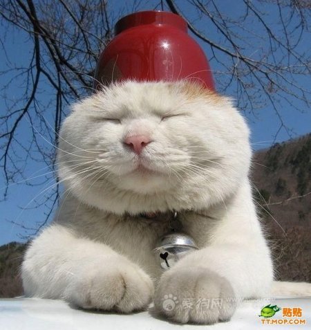 Ответы Mail.ru: Завтра опять будет зима.. Вас расстраивает это?