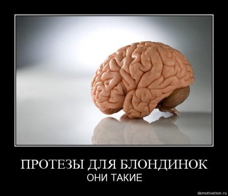 второй картинка мозг продается том виде