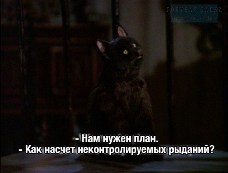 Мемы с котом салемом