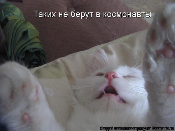 ТАКИХ НЕ БЕРУТ В КОСМОНАВТЫ MP3 СКАЧАТЬ БЕСПЛАТНО ТАКИХ НЕ БЕРУТ В КОСМОНАВТЫ MP3 СКАЧАТЬ БЕСПЛАТНО