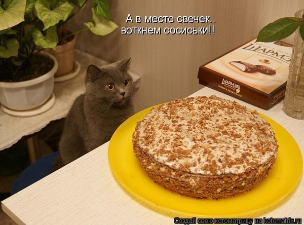 Что делать после гостей Что делать после гостей