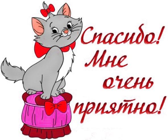 Открытки вот такое спасибо за поздравления