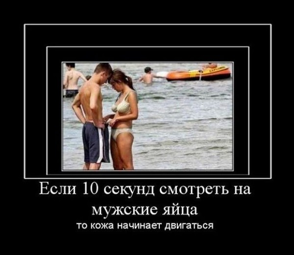 яйца мужские картинки онлайн яйца мужские картинки