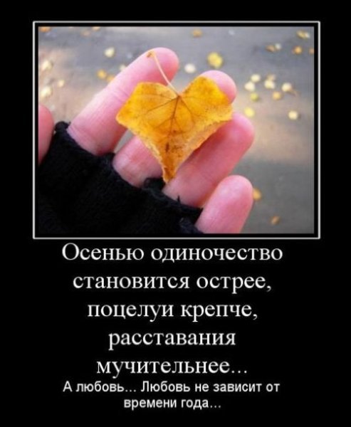 Открытки для расставания прикольные, домой хочу прикольные