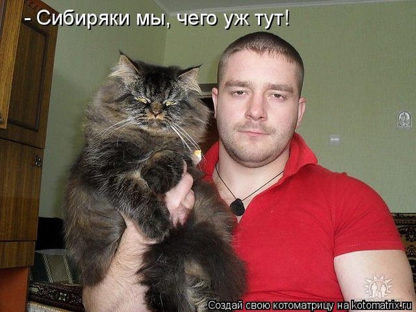 Хозяин за что картинка прикол