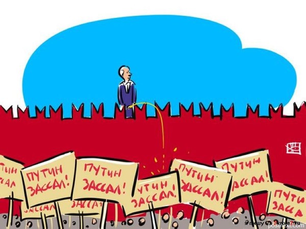 7b5415bbce398b34246960e3c1053f46_i-1347.