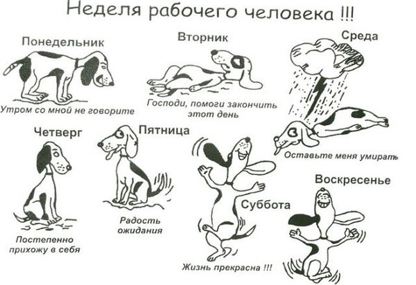 Картинки про рабочую неделю с надписями, собор