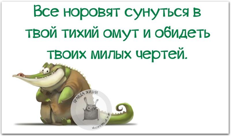 Картинки с надписью тихий омут