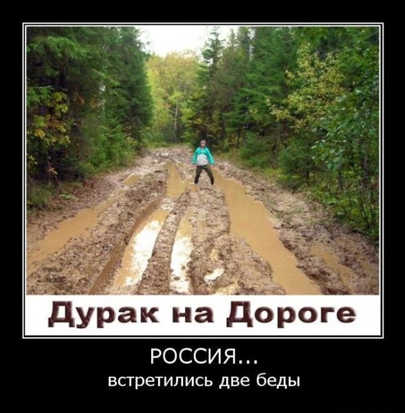 Самые смешные дураки