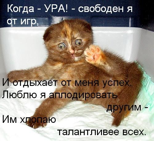 Всем спасибо все свободны