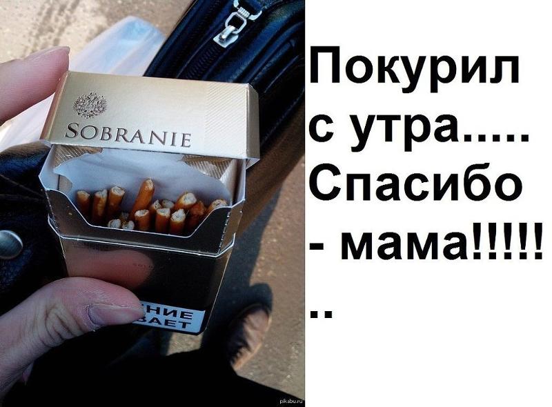 я-покажет статистика, открытка пойдем покурим сегодняшний день