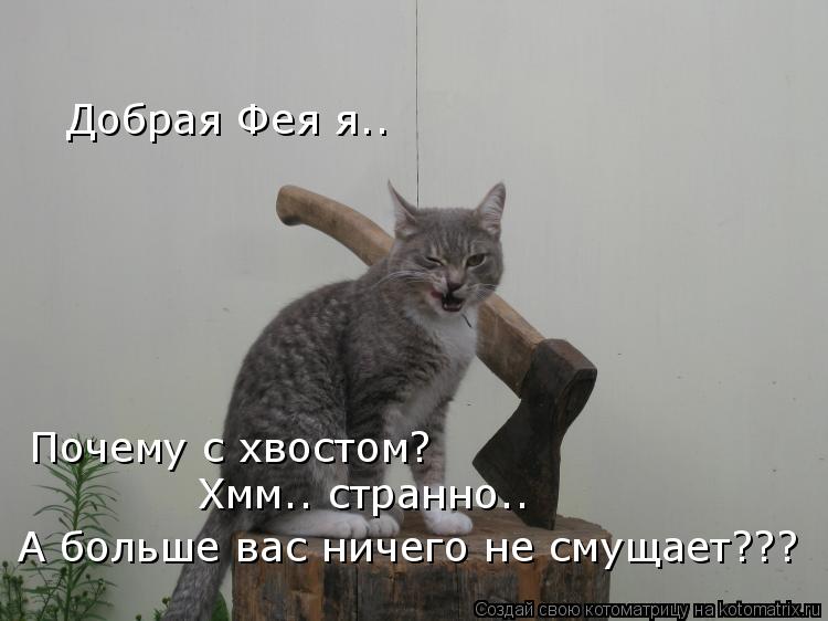 врагу не сдаётся наш гордый. смешные картинки с котами. забавные животные фото с надписями. включи кот пришел. включи кот пришел.