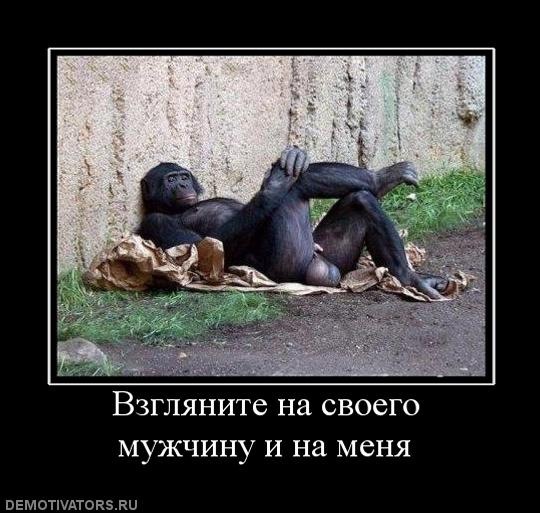 большие картинки яйца онлайн большие картинки яйца