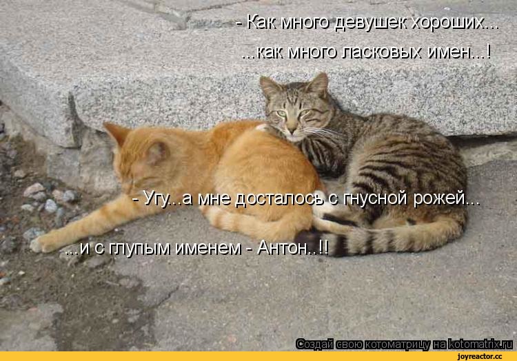 ни разу не поймали. ни разу не надел. это ты меня называешь добрым человеком. ни разу не поймали. не раз или ни раз.