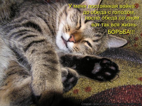 Прикольные картинки про сон в обед, днем рождения