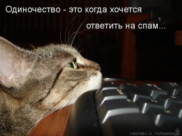 Открытки с надписью зачем, открытки морском