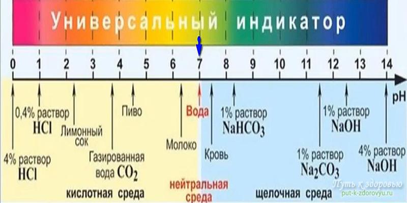 Ph у мужчин по возрасту таблица Ответы Mail.ru: Сколько примерно составляет уровень pH чистой воды?