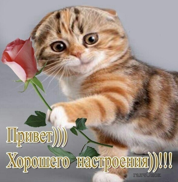 84301640_44b56a06631b4d56935ac3052b3ab11