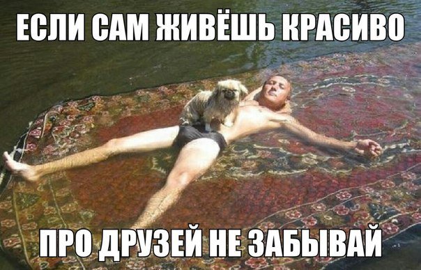 1,120 отметок "Нравится", 31 комментариев -