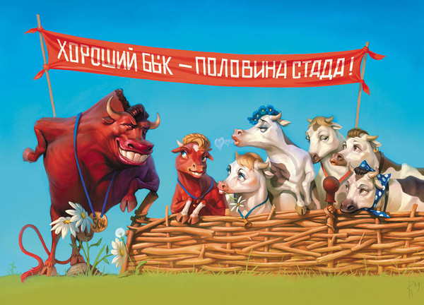 Открытки анимационные, открытки бык