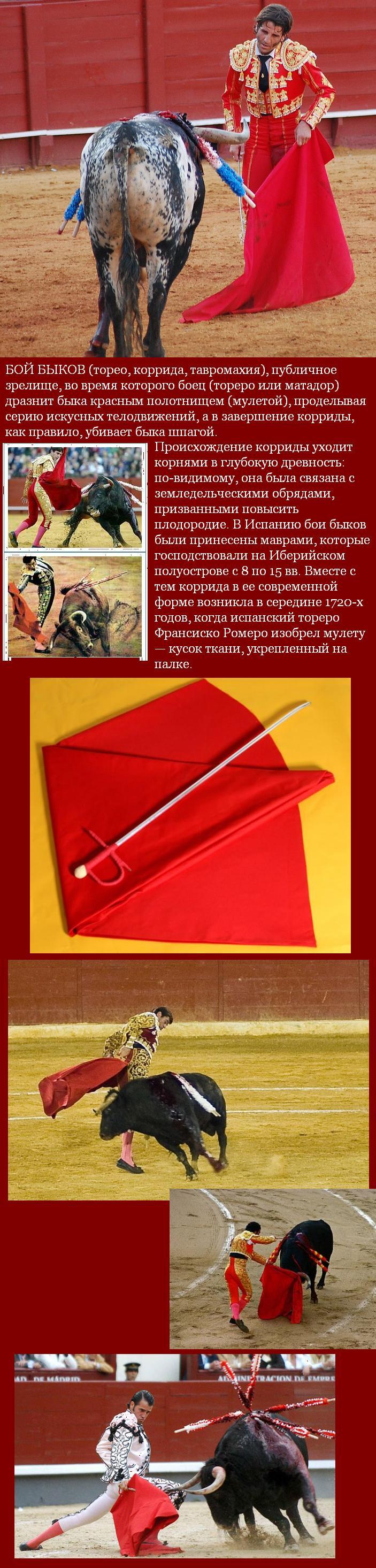 дразнящая быка тряпка. красная тряпка на корриде. тореадор. дразнящая быка тряпка. ткань которой дразнят быка.