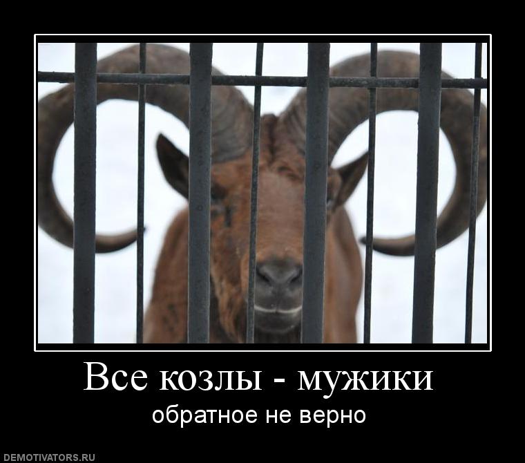 Смешные картинки про козлов мужиков, дни недели весы