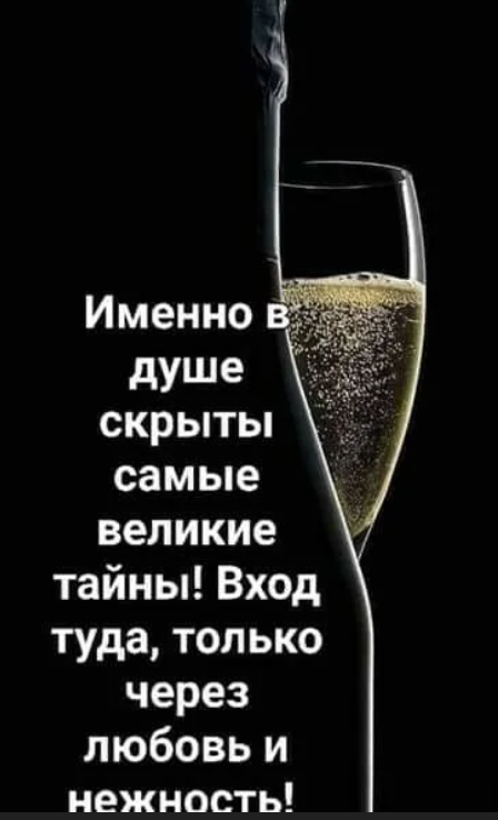 Цитаты про шампанское. Афоризмы про шампанское. высказывания про шампанское. цитаты о шампанском.