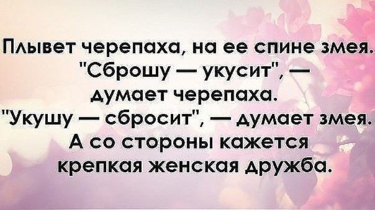 Картинки с надписями я не верю в дружбу