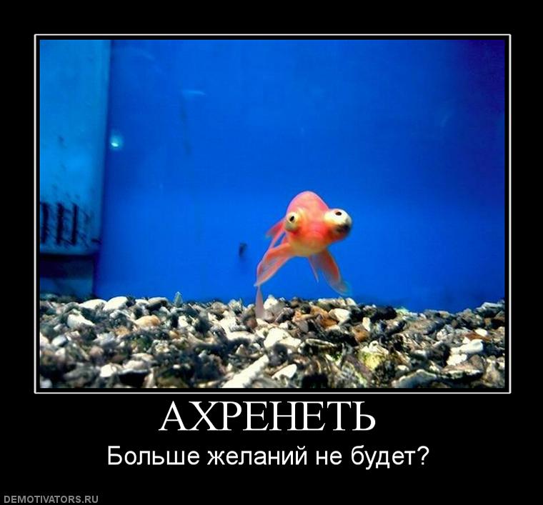 Большое Желание Картинки