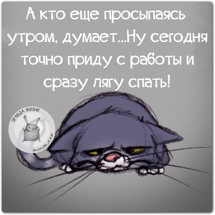 будет картинки рано встала статусы нашей