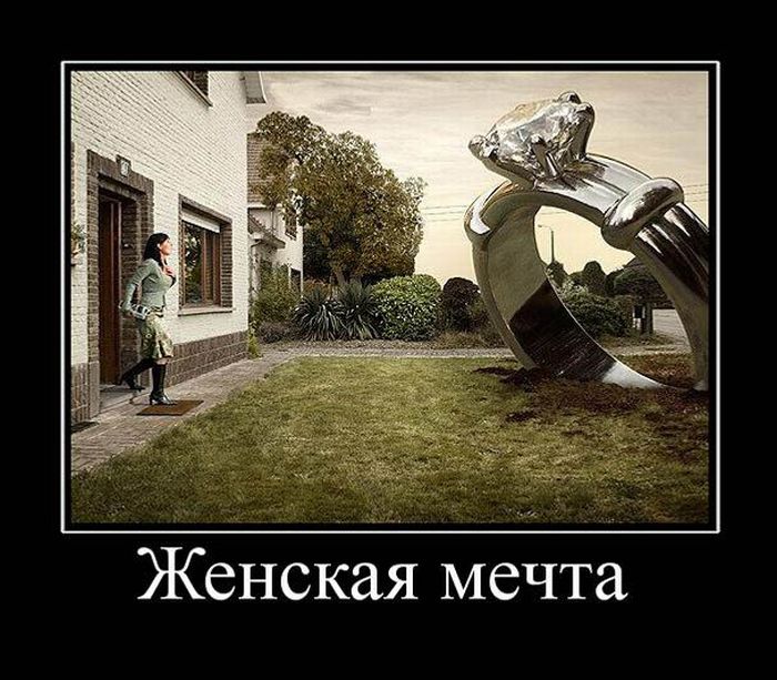 Картинки смешные про мечту, картинки