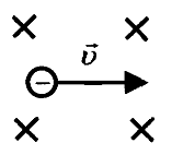 В однородное магнитное поле линии которого направлены. Контур abcd находится в однородном магнитном поле. В однородном магнитном поле линии которого направлены от нас. Однородное магнитное поле линии которого направлены к нам. В однородное магнитное поле линии которого направлены.