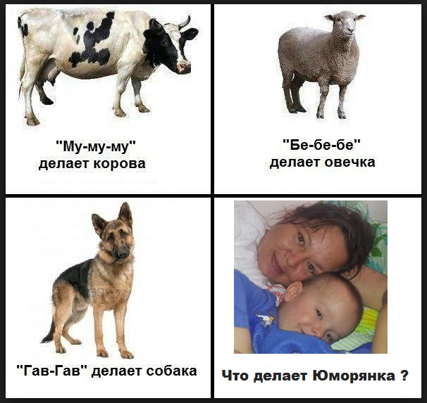 как говорят кошки в разных странах. гав гав гав гав гав гав гав гав гав гав гав гав гав гав. гав собака говорит говорит. собака гав. кошка делает мяу собака делает.