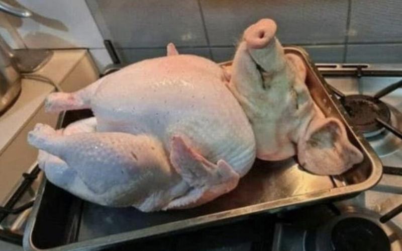 Мем девочка со свиньей