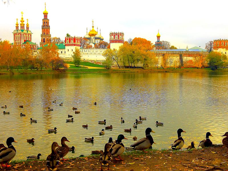 Что посетить в москве в сентябре. Новодевичий монастырь в москве осень. новодевичий монастырь в москве утки. золотая осень в новодевичьем монастыре. утки у новодевичьего монастыря.