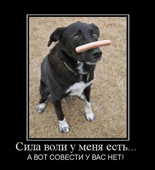 Для, открытка сила воли