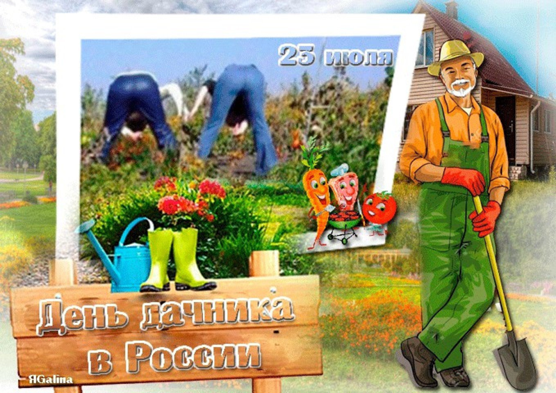 Нынче праздник в огороде. День дачника и праздник. с днем дачника хорошего урожая. сегодня день дачника. день дачника в россии.
