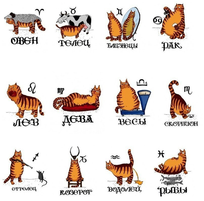Тест какой ты кот
