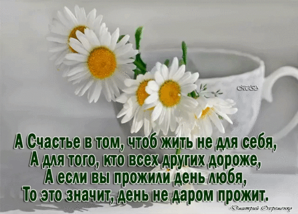 Радуйтесь Живите Любите Картинки