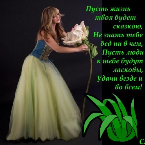 Живи как в сказке открытки, днем