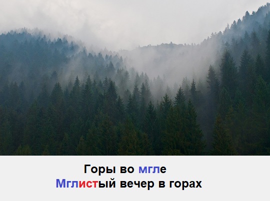 фреска лес в тумане. мглистый. Wow мглистая роща. мглистый день. транспорт «древень-скиталец».