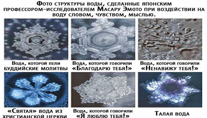 Крещенская вода под микроскопом
