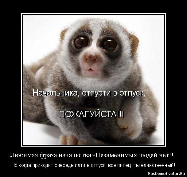 поделитесь любимый начальник вышел на работу картинки нарисовать