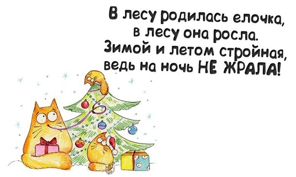 Мем 2025 года в лесу родилась елочка
