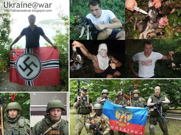 Мильчаков живодер. Мильчаков живодер