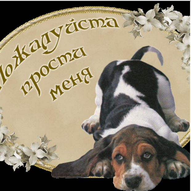 Картинки забудь меня пожалуйста