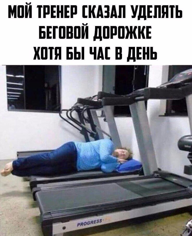 Приколы в зале фитнес. Коты на беговой дорожке. Смешной мужчина на беговой дорожке. Девушка на беговой дорожке. Смешной на беговой дорожке.
