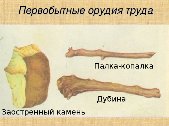 Примеры первых орудий труда