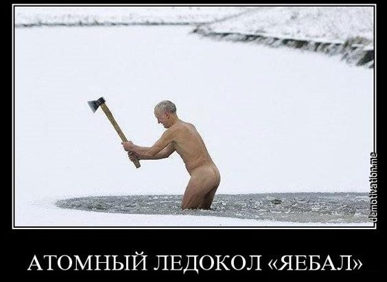гамма демотиваторы с моржами вас это учесть