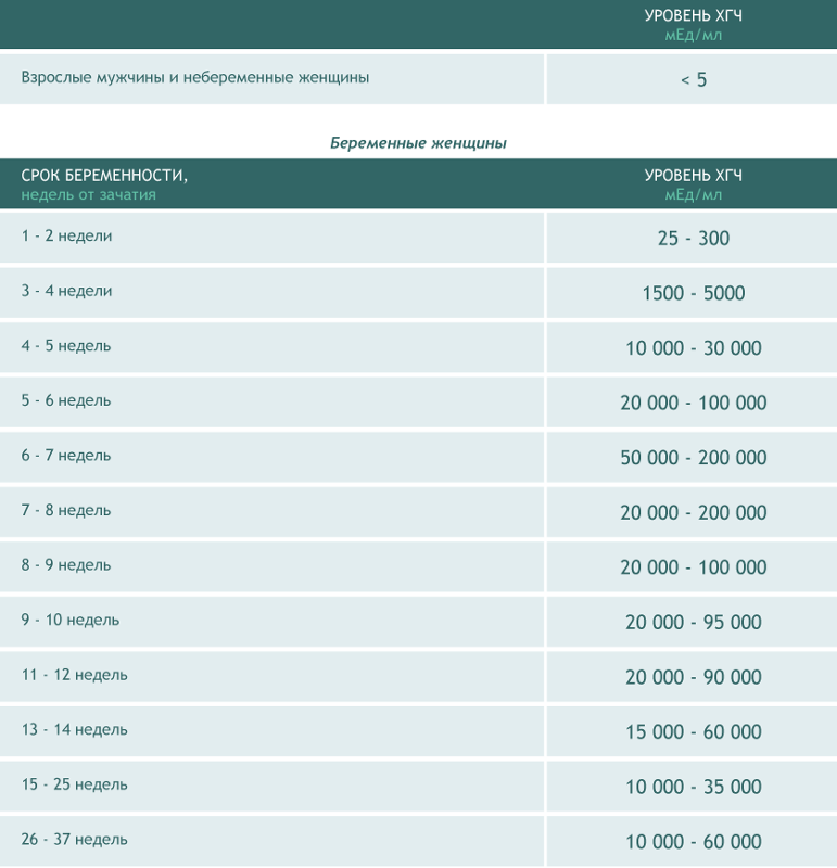 Рост хгч при беременности таблица
